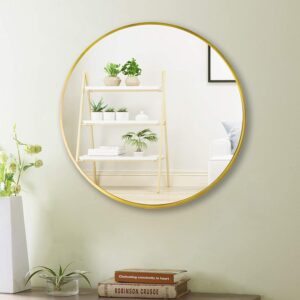 20 Inch Gold Round Mirror